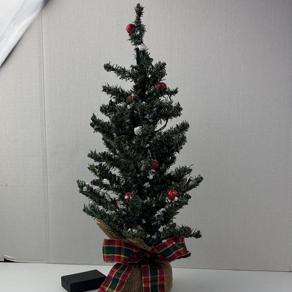 Festive Green Holiday Tree with Red Accents lights up